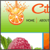Citrus Systems Madison